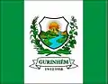 Bandeira de Gurinhém
