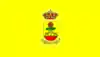 Bandeira de Solana del Pino