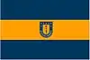 Bandeira de entidade pública ou privada (Universidade de Concepción)