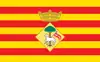Bandeira de Sant Joan Despí