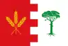 Bandeira de Ataquines