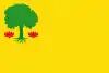 Bandeira de Monte de Ramo