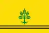 Bandeira de Sant Guim de Freixenet