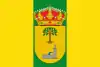 Bandeira de Villanueva de Argecilla