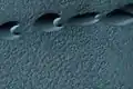 Barcanas na região de Hellespontus, visto pela HiRISE.  Os "chifres" apontam para baixo, conclui-se daí que os ventos que formaram as dunas vieram do oeste.