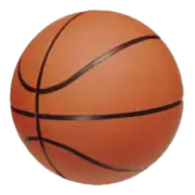 Bola de basquetebol