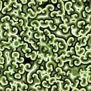 Simulação computacional da reação de Belousov-Zhabotinsky