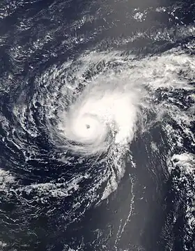 imagem ilustrativa de artigo Furacão Bertha (2008)