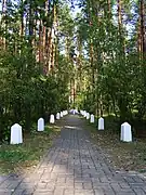 Beco e cruz na cena do crime em Rapy