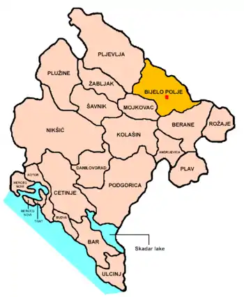 Localização de Bijelo Polje