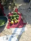 Bijora - cidra para venda em Bujepur, Kutch, Guzerate, Índia.