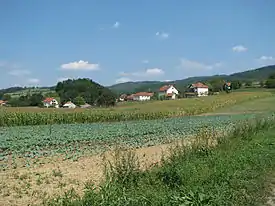 Vue générale de Bjelotići