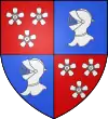Brasão de armas de Châteauneuf-sur-Cher