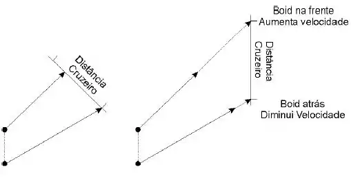 Boids Evitando Colisoes