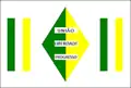 Bandeira de Bom Progresso
