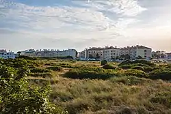 Bosque Urbano da Conceição da Abóboda, com a localidade ao fundo.