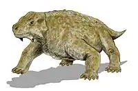 Scutosaurus karpinskii Um réptil anapsídeoComprimento: 3,5 m