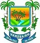 Brasão de armas de Várzea
