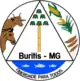 Brasão de armas de Buritis