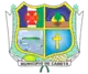 Brasão de armas de Cametá