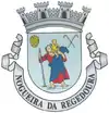Brasão de armas de Nogueira da Regedoura