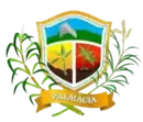 Brasão de armas de Palmácia