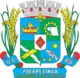 Brasão de armas de Pirapetinga