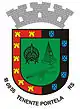 Brasão de armas de Tenente Portela