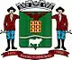 Brasão de armas de Águas Formosas