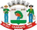 Brasão de armas de Caarapó