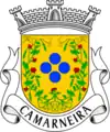 Brasão de armas de Camarneira