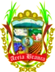Brasão de armas de Areia Branca