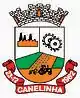 Brasão de armas de Canelinha