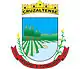 Brasão de armas de Cruzaltense