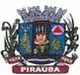 Brasão de armas de Piraúba