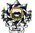 Brasão de armas de Vila Rica