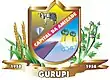 Brasão de armas de Gurupi