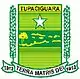 Brasão de armas de Tupaciguara