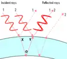 Neste diagrama vemos dois raios de luz vermelha (raios 1 e 2). Ambos se dividem e seguem dois caminhos possíveis. O interesse são os caminhos representados com linhas contínuas. Considere o raio que emerge do ponto Y. Consiste em dois raios sobrepostos: a parte do raio 1 que atravessa a parede da bolha e a parte do raio 2 que se reflete na parede exterior. O raio 1 viaja uma distância XOY maior que o raio 2. XOY resulta em ter a mesma longitude de onda da luz vermelha, os dois raios estão em fase (as cristas e os vales estão juntos).