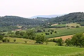 Bujačić - panorama