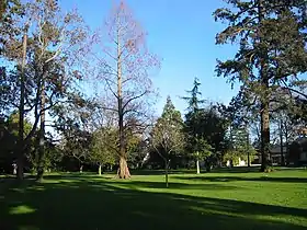 Vista de um parque no Condado de San Mateo