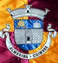Brasão de armas de Almedina