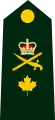 Canadá:Brigadier general /Brigadier-général