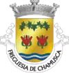 Brasão de armas de Chamusca
