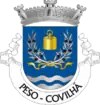 Brasão de armas de Peso