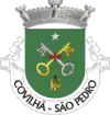 Brasão de armas de São Pedro