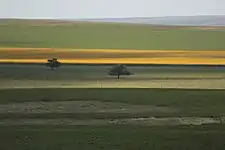 Pampas, próximo a Córdoba