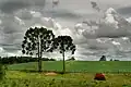 Paisagem rural em Palmeira.