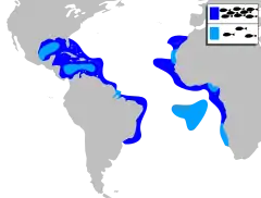Distribuição geográfica do jaguareçá.