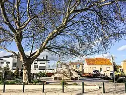 Zona central de Caparide.